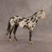 Spotted Owl OOAK Ideal Stock Horse by Madi Wiseman DDOOAKs26