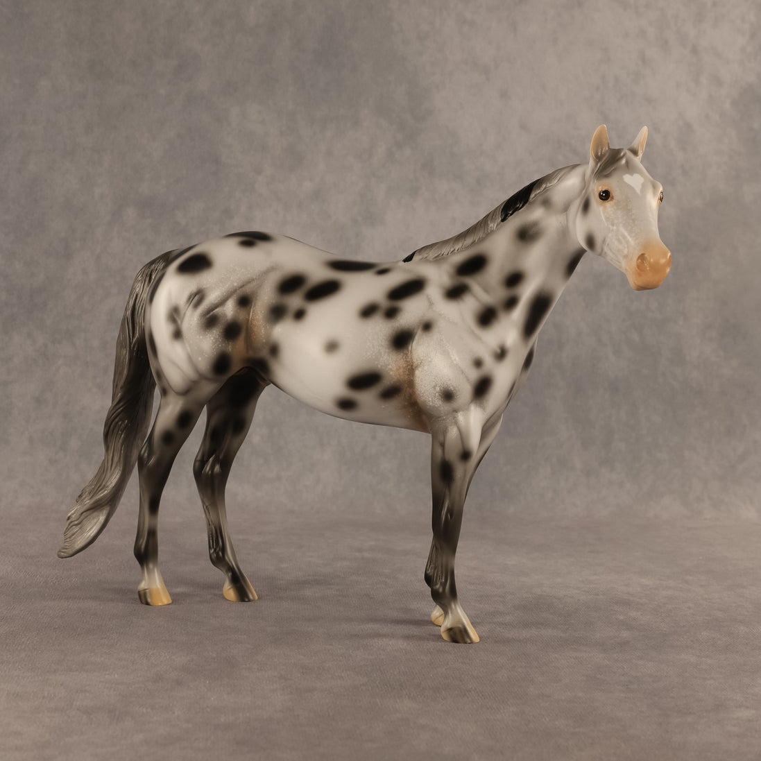 Spotted Owl OOAK Ideal Stock Horse by Madi Wiseman DDOOAKs26