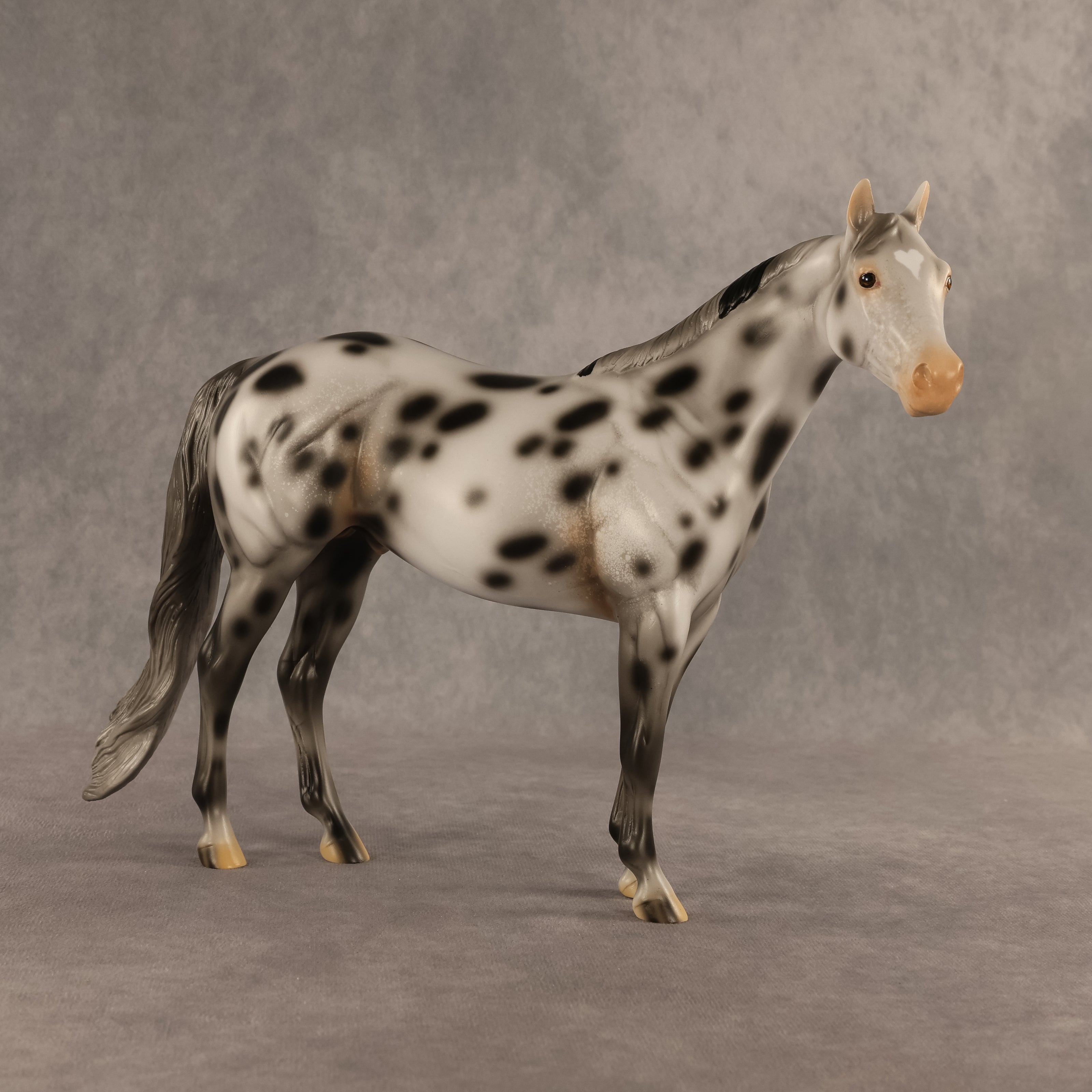 Spotted Owl OOAK Ideal Stock Horse by Madi Wiseman DDOOAKs26