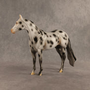 Spotted Owl OOAK Ideal Stock Horse by Madi Wiseman DDOOAKs26