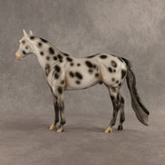 Spotted Owl OOAK Ideal Stock Horse by Madi Wiseman DDOOAKs26