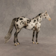 Spotted Owl OOAK Ideal Stock Horse by Madi Wiseman DDOOAKs26