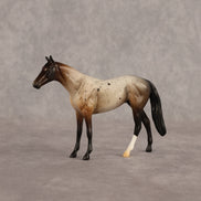 Spotted Shadow OOAK Chip Thoroughbred  by Alex Fortman EQ26
