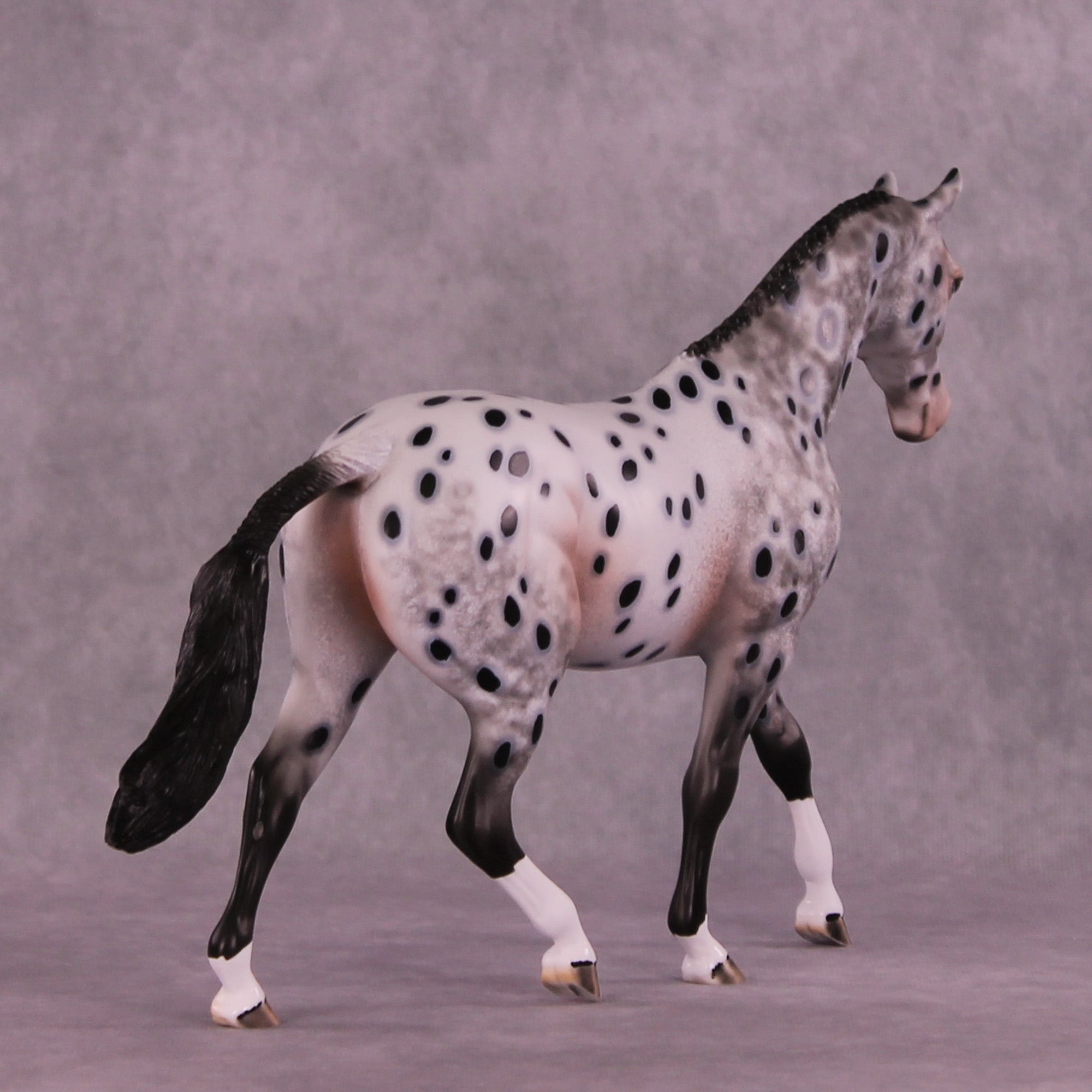 Spyglass OOAK Pony by Dawn Quick MM25 Group B