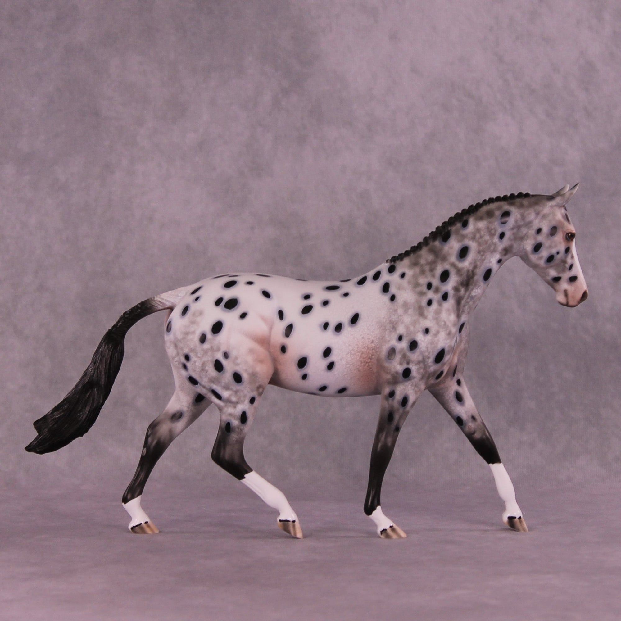 Spyglass OOAK Pony by Dawn Quick MM25 Group B