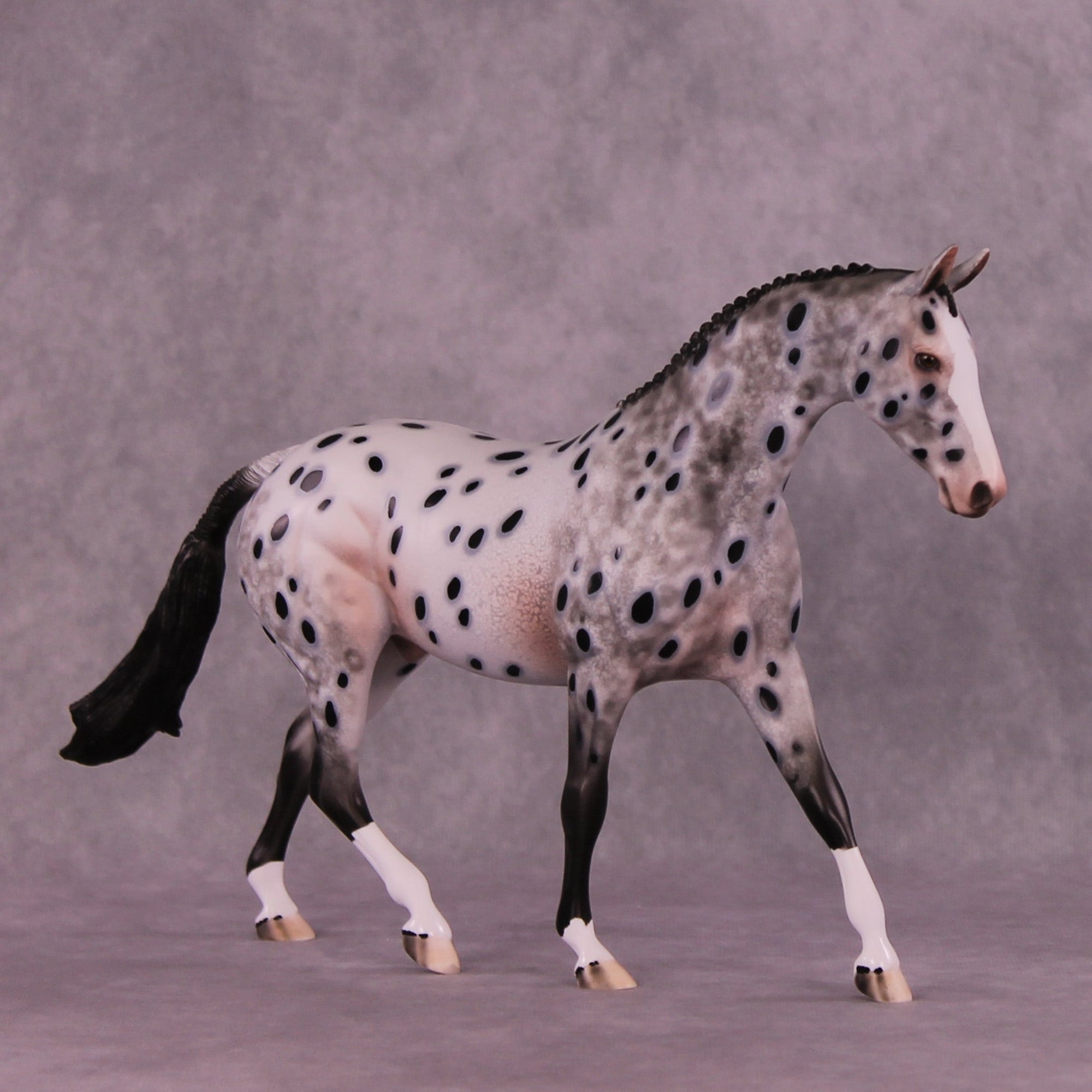 Spyglass OOAK Pony by Dawn Quick MM25 Group B