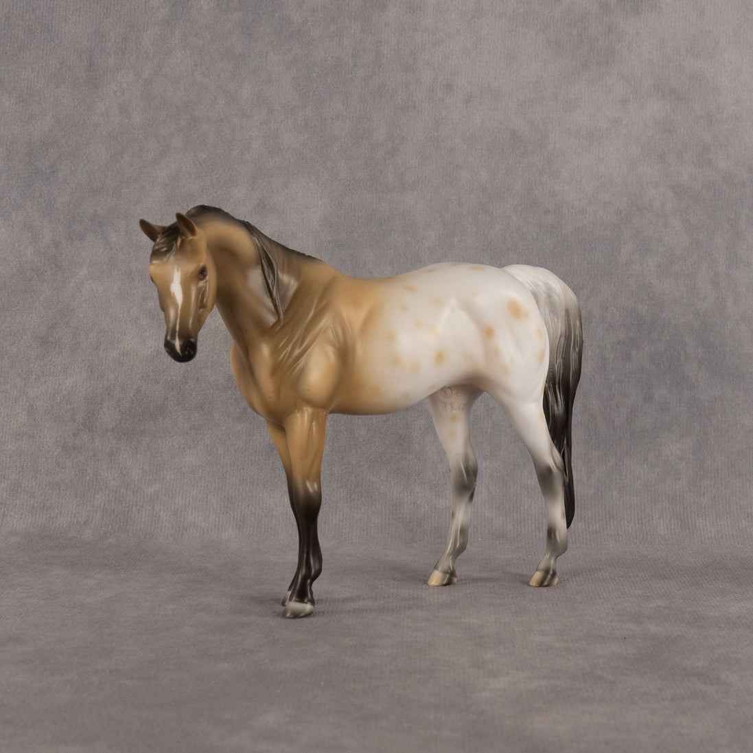 St. Clair OOAK Pebble Arabian Mare by Madi Wiseman LHS26