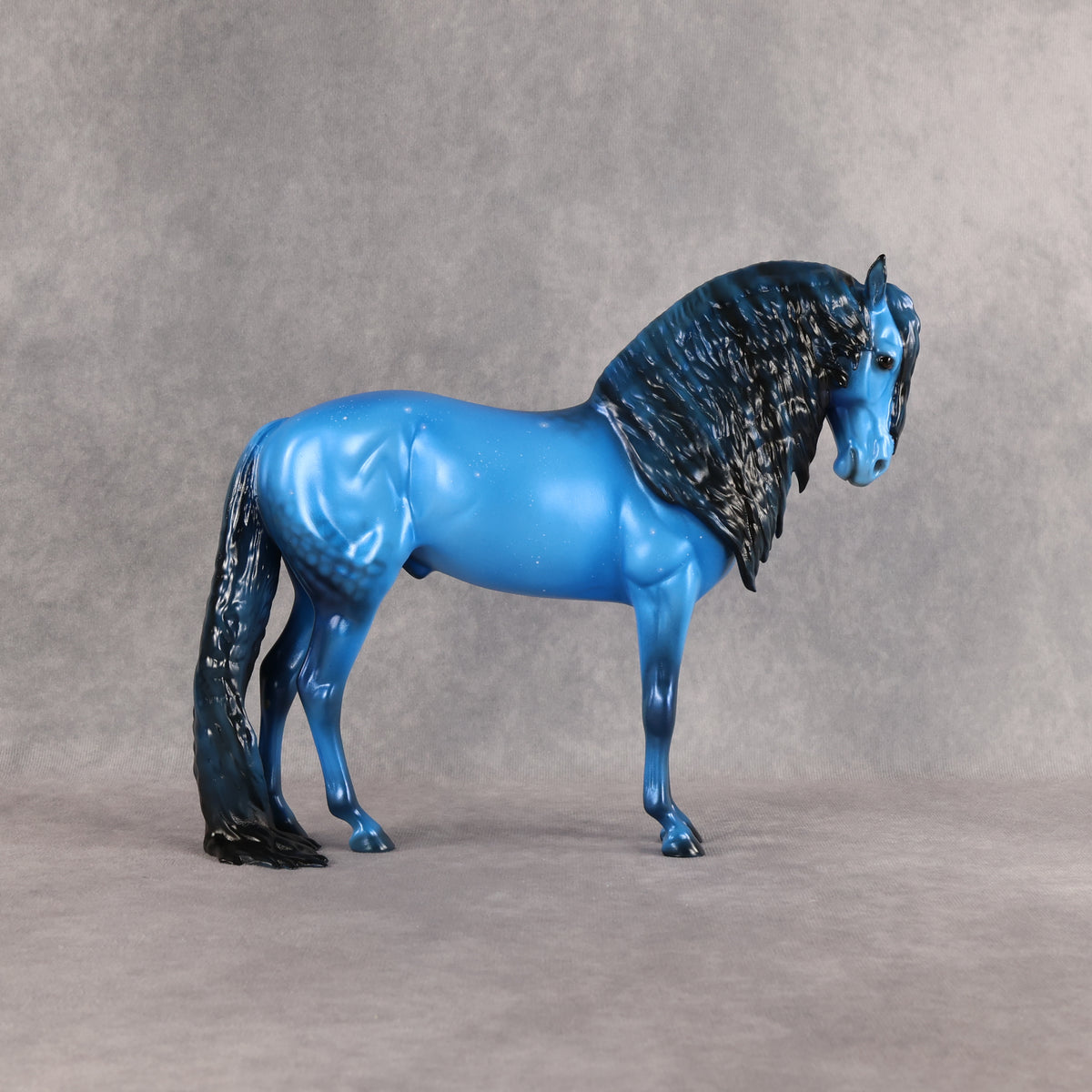 SAMPLE Starborn LE-5 Run Dappled Cerulean Blue Factory Custom Andalusian By Ellen Robbins SS0926