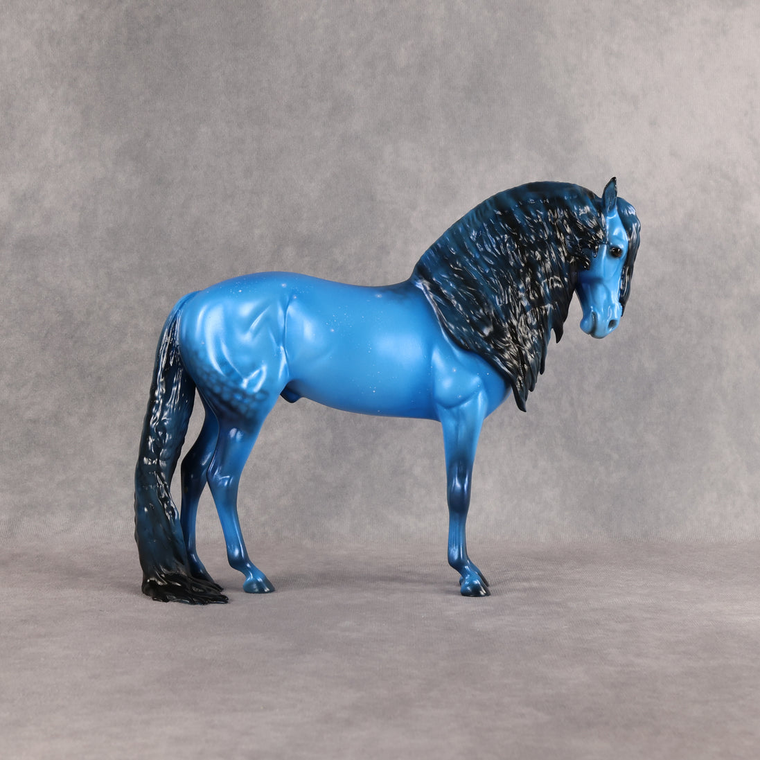 Starborn LE-5 FCM Andalusian by Ellen Robbins EQ26