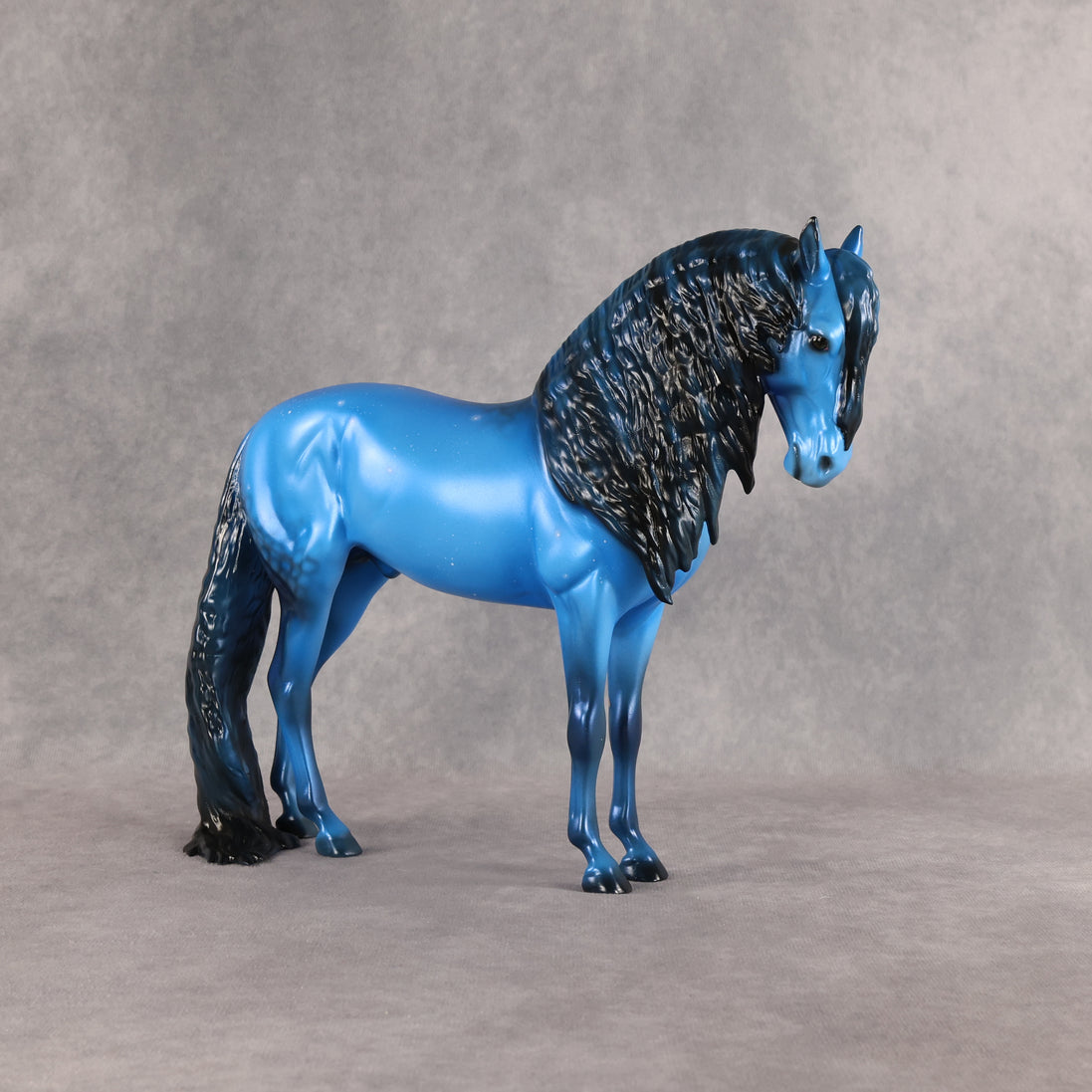 Starborn LE-5 FCM Andalusian by Ellen Robbins EQ26