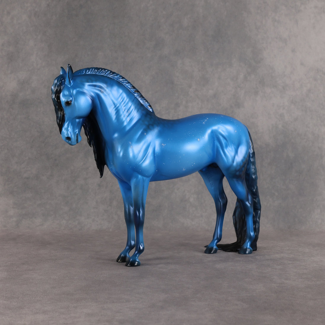 Starborn LE-5 FCM Andalusian by Ellen Robbins EQ26