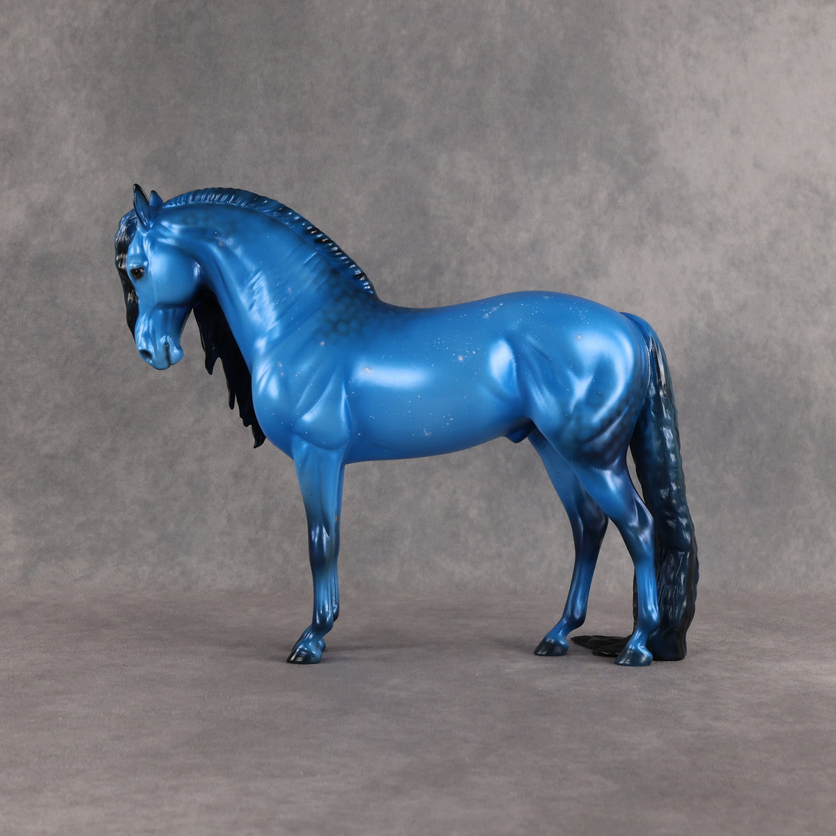 SAMPLE Starborn LE-5 Run Dappled Cerulean Blue Factory Custom Andalusian By Ellen Robbins SS0926