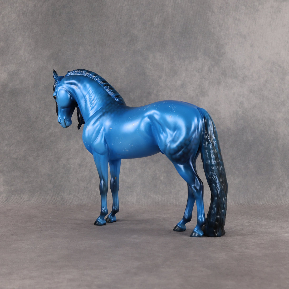 Starborn LE-5 FCM Andalusian by Ellen Robbins EQ26