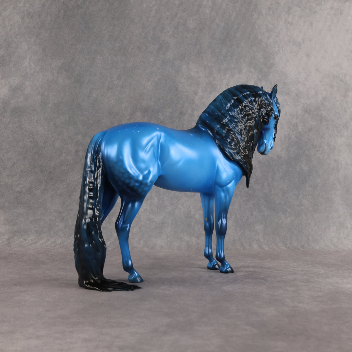 SAMPLE Starborn LE-5 Run Dappled Cerulean Blue Factory Custom Andalusian By Ellen Robbins SS0926