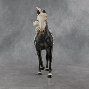 Starla OOAK FCM Harmony by Vincent Lange 6.12.2026 GS26