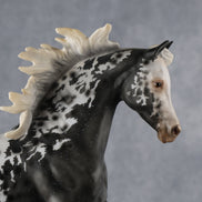 Starla OOAK FCM Harmony by Vincent Lange 6.12.2026 GS26