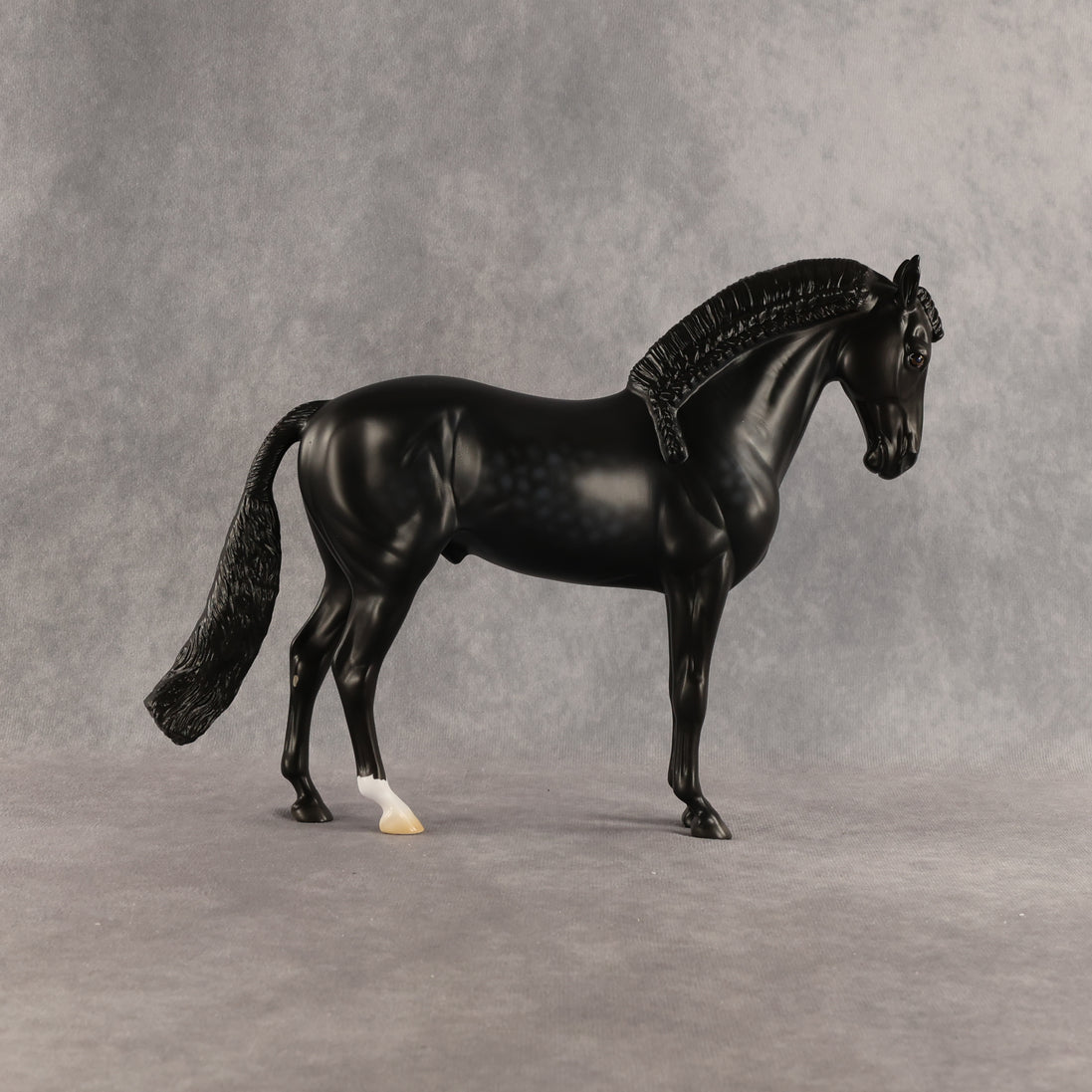 Starling OOAK FCM Andalusian by Madi Wiseman DDOOAKs26