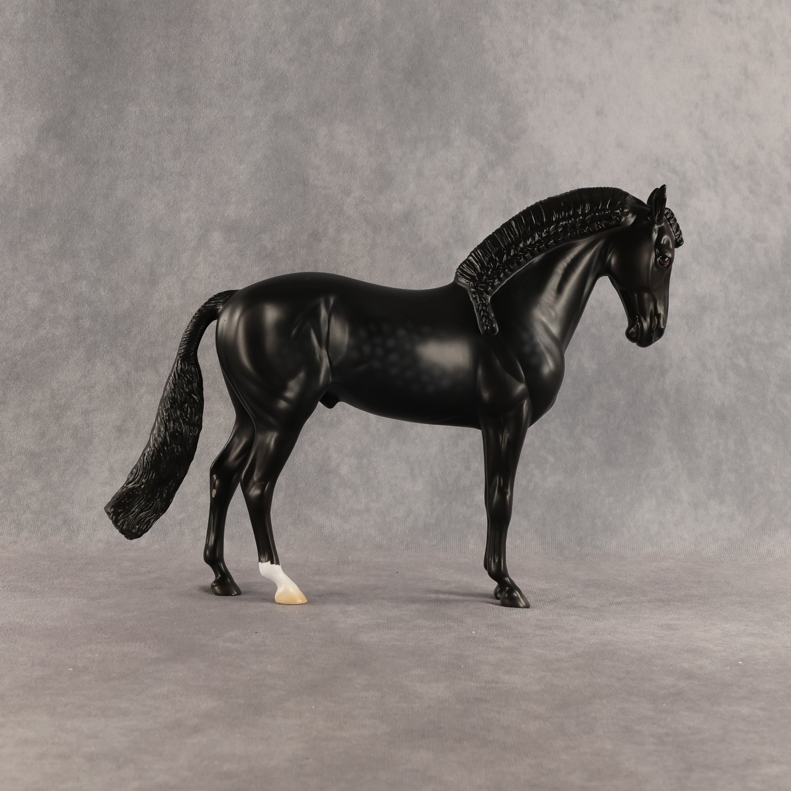 Starling OOAK FCM Andalusian by Madi Wiseman DDOOAKs26