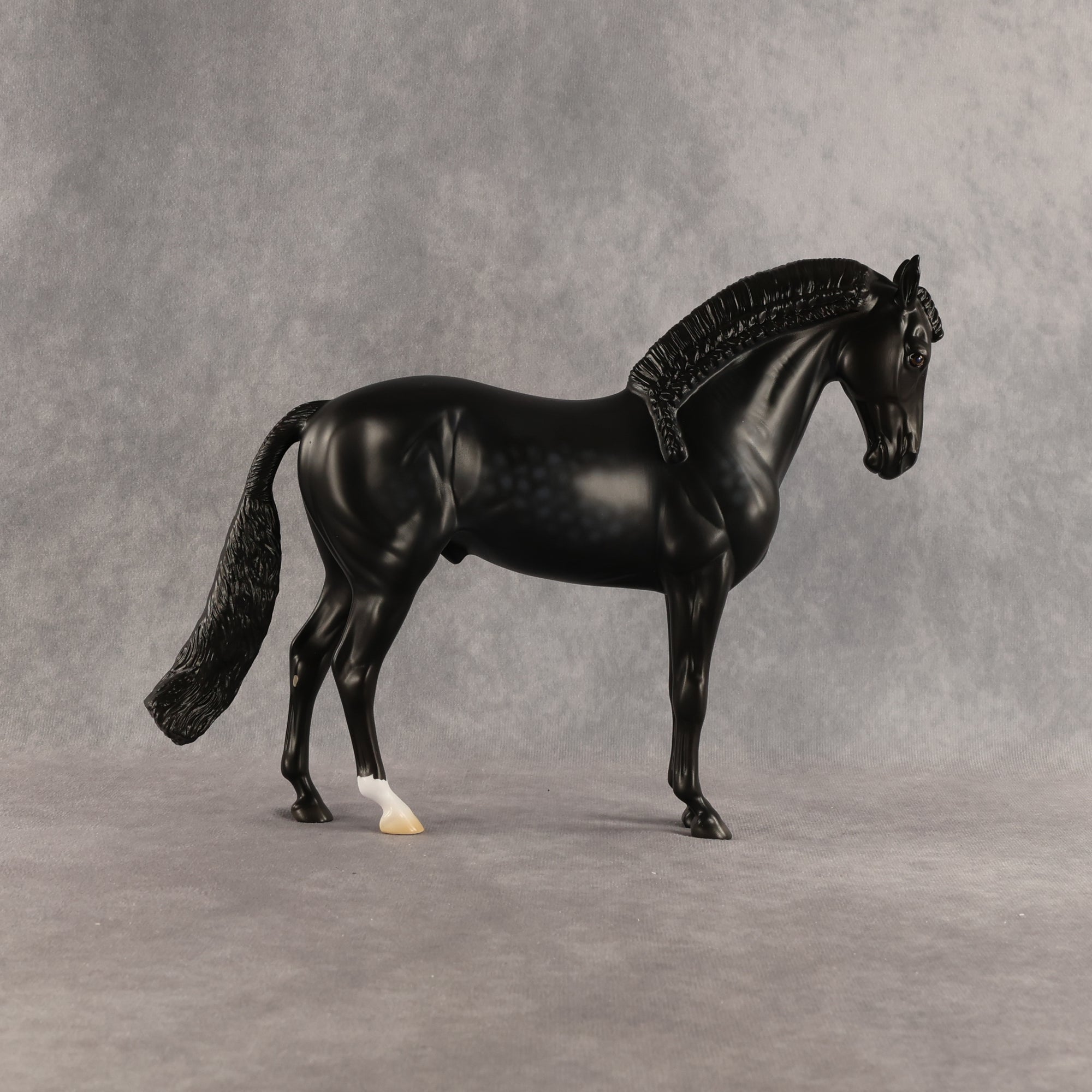Starling OOAK FCM Andalusian by Madi Wiseman DDOOAKs26