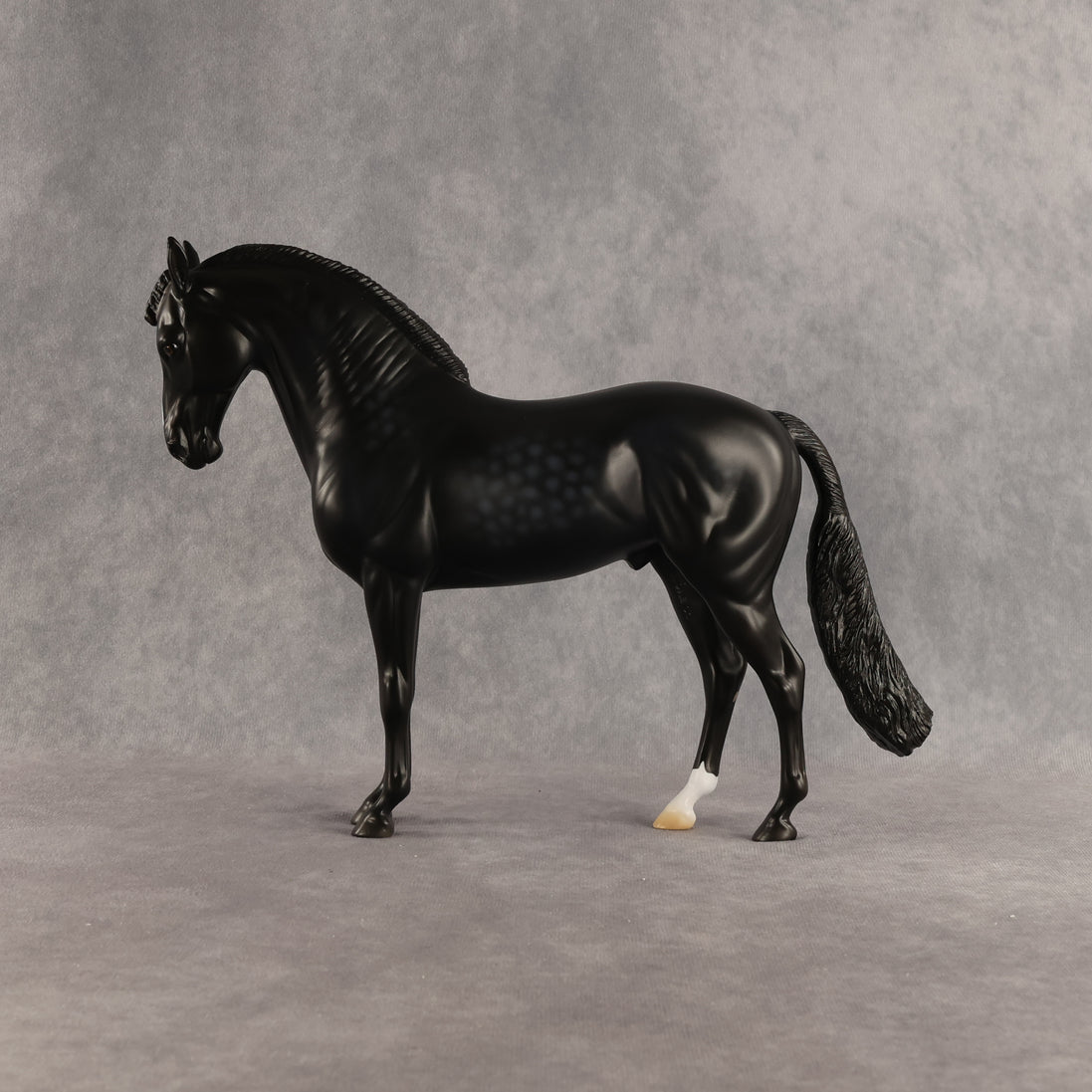 Starling OOAK FCM Andalusian by Madi Wiseman DDOOAKs26
