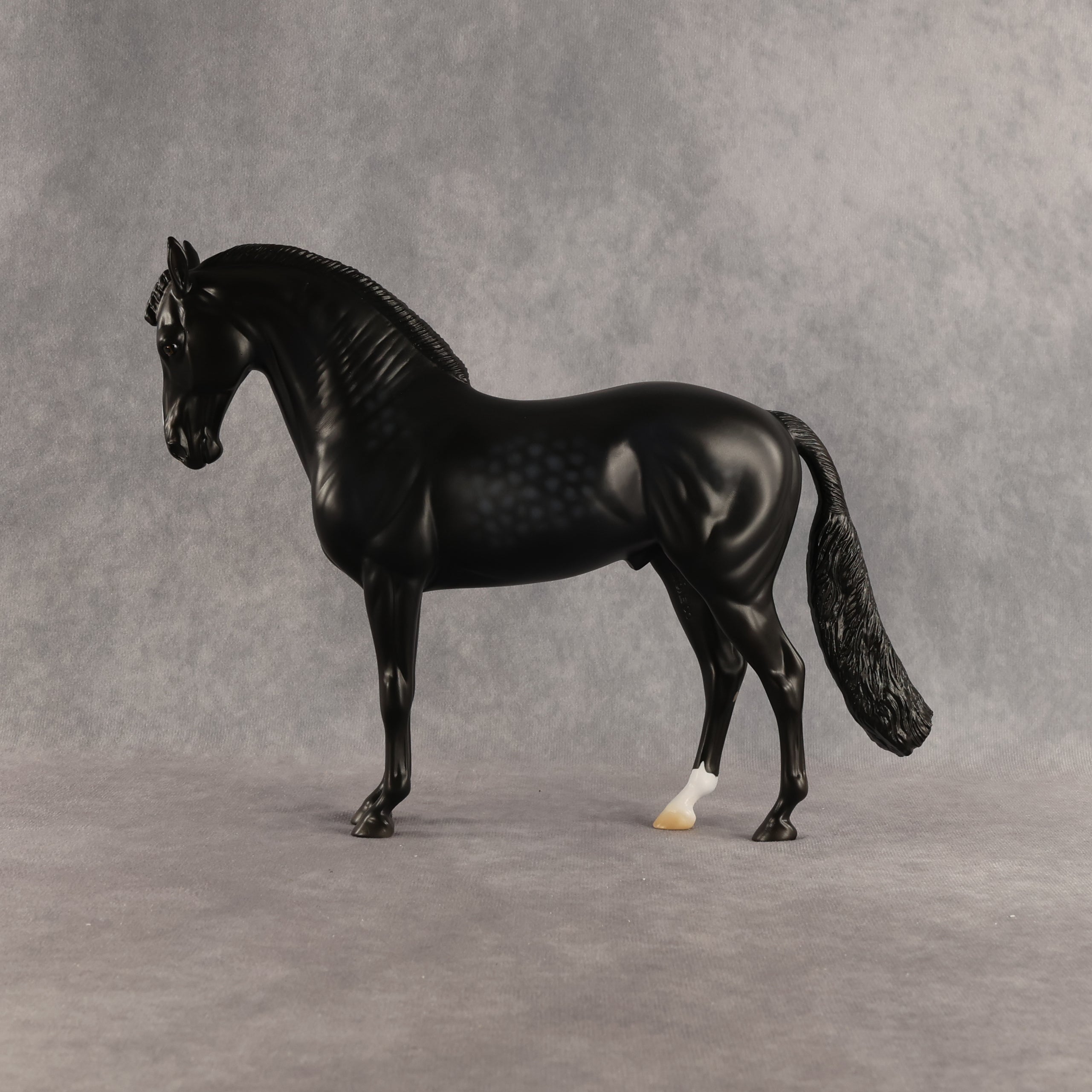 Starling OOAK FCM Andalusian by Madi Wiseman DDOOAKs26