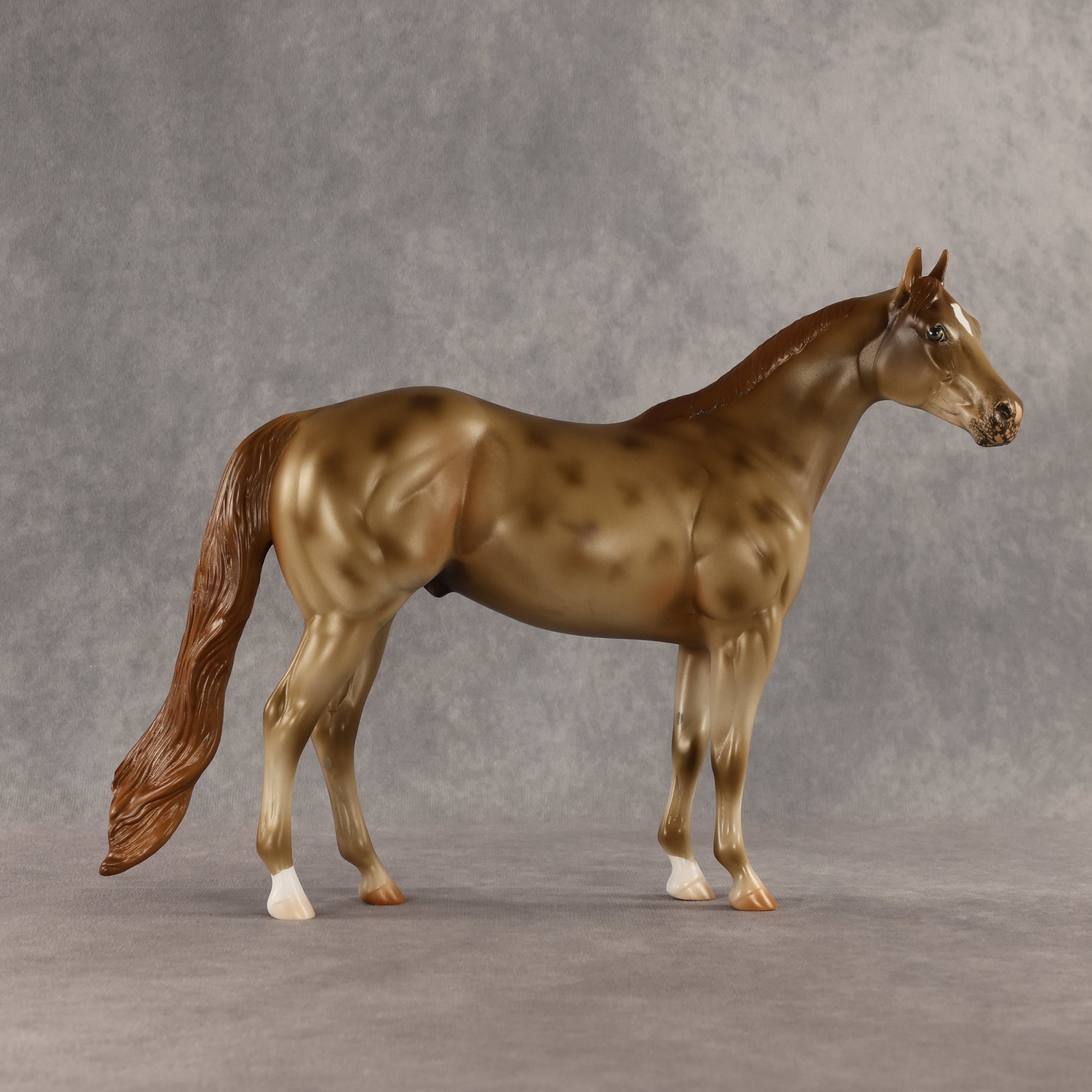 Starstruck OOAK Ideal Stock Horse by Anna Rieck SHCF26