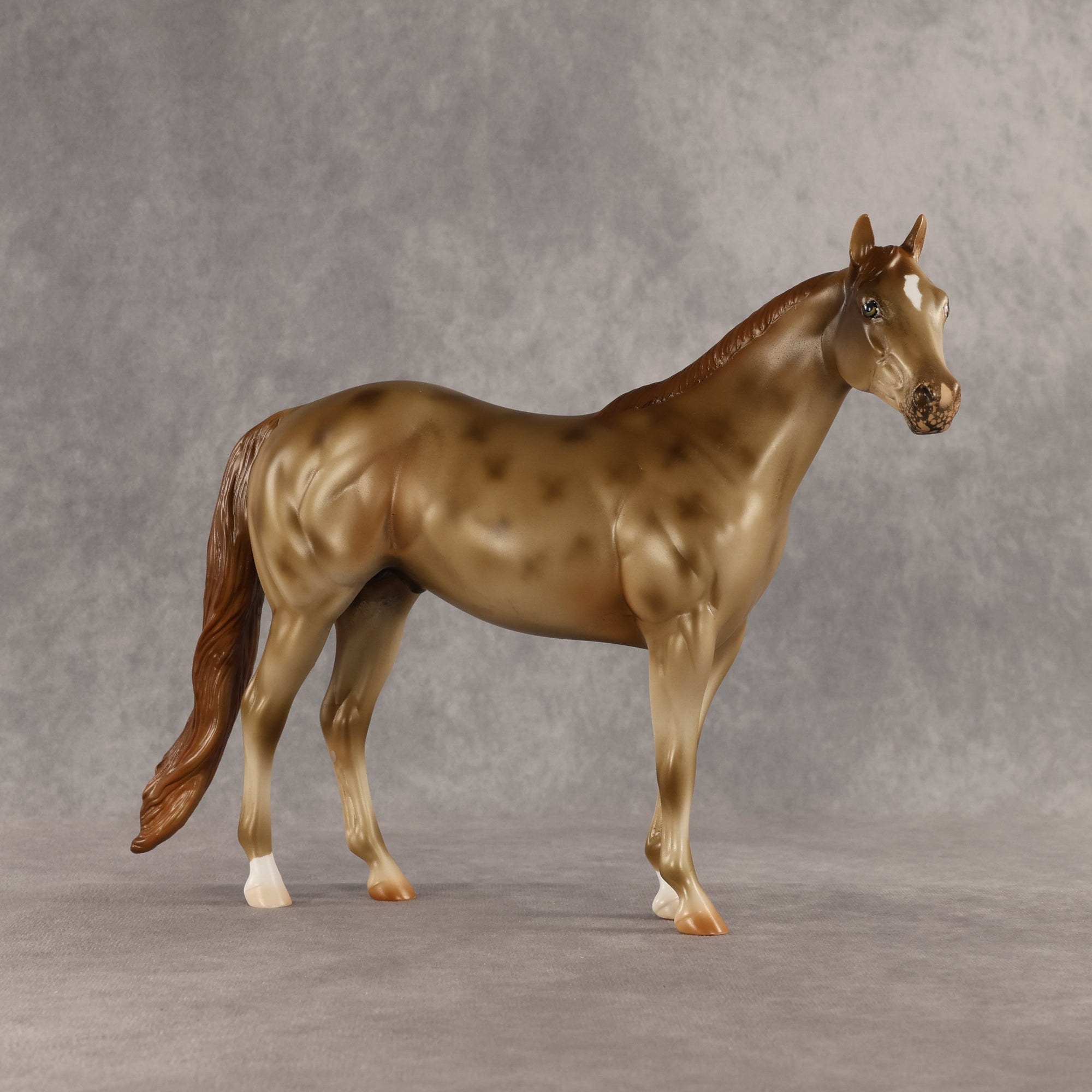 Starstruck OOAK Ideal Stock Horse by Anna Rieck SHCF26