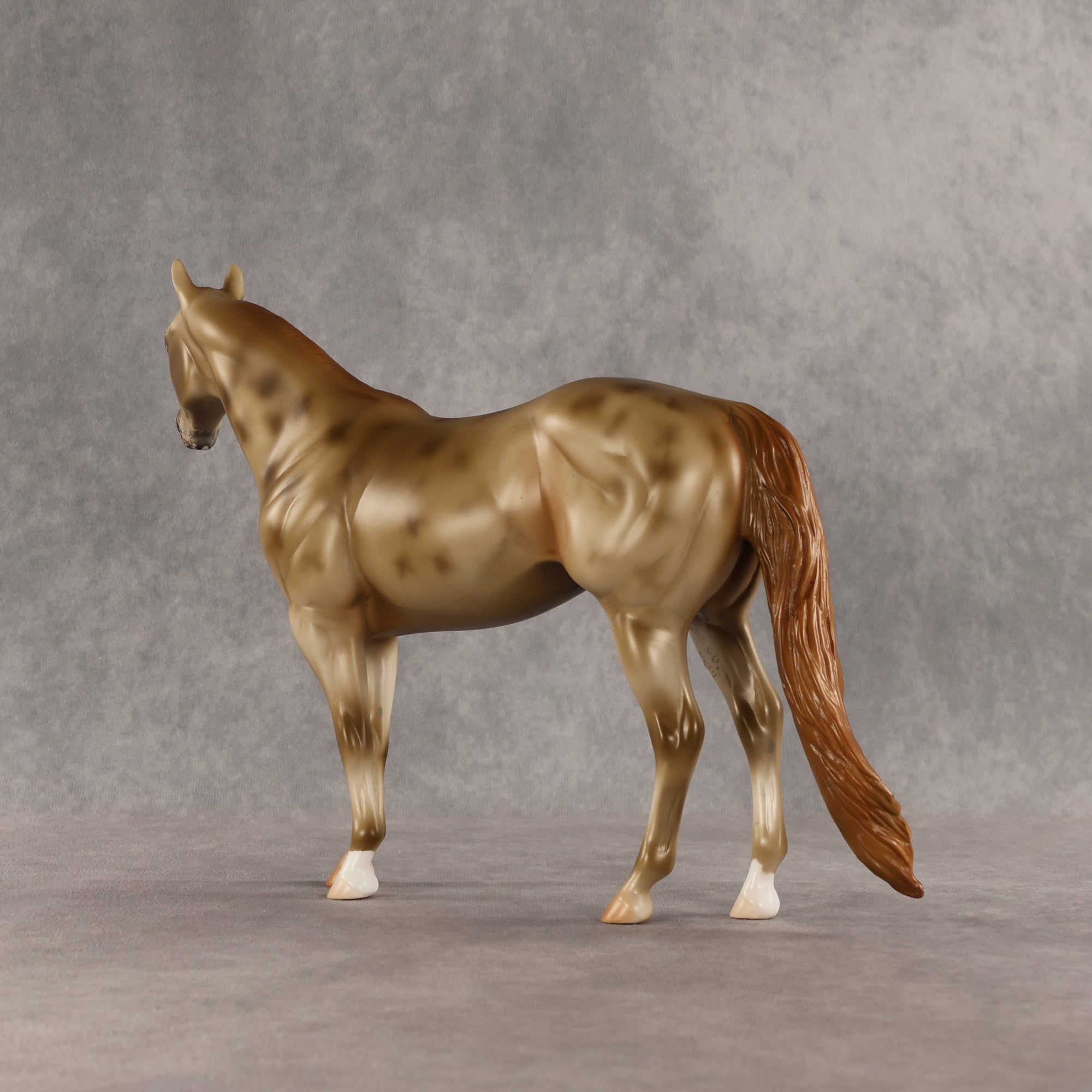 Starstruck OOAK Ideal Stock Horse by Anna Rieck SHCF26