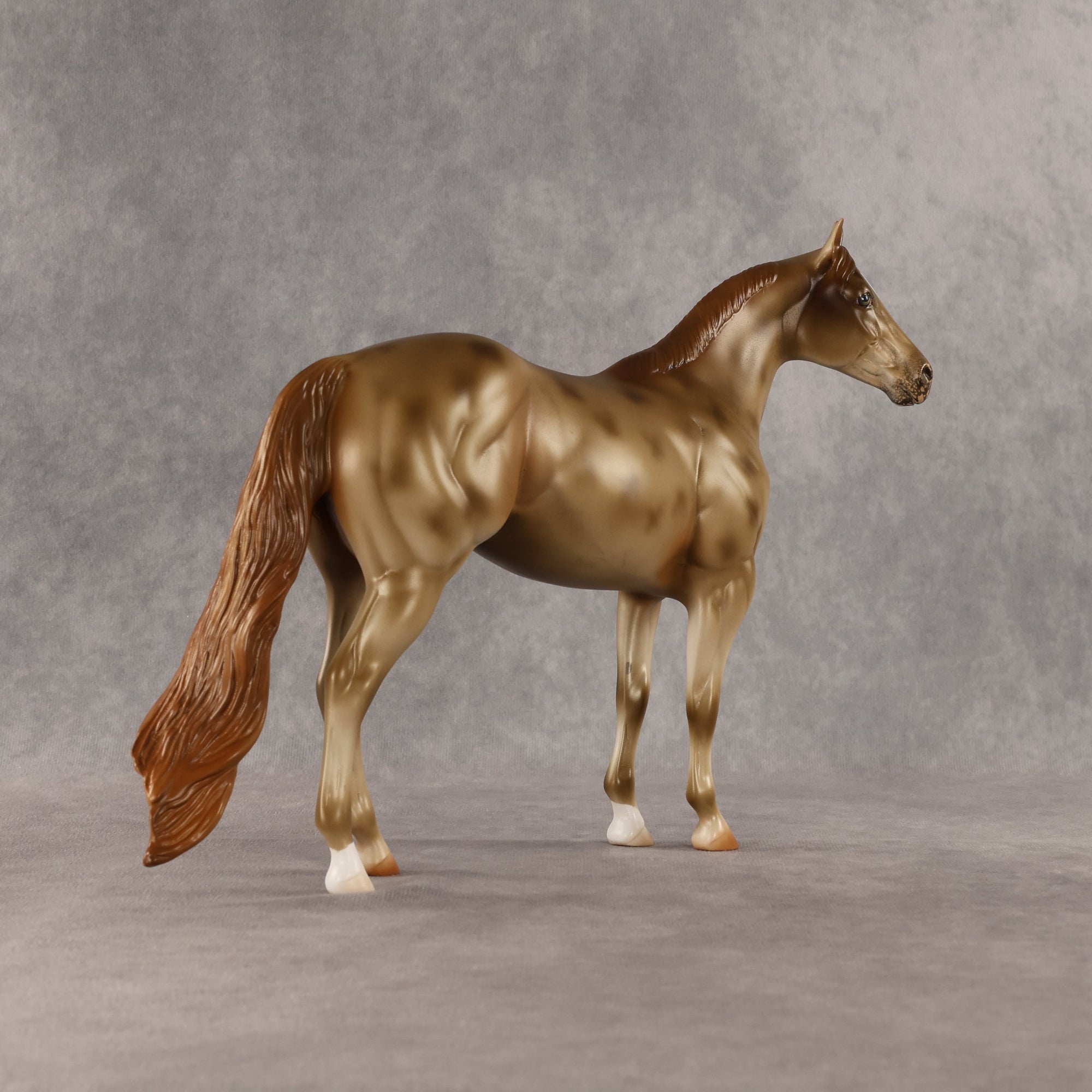 Starstruck OOAK Ideal Stock Horse by Anna Rieck SHCF26