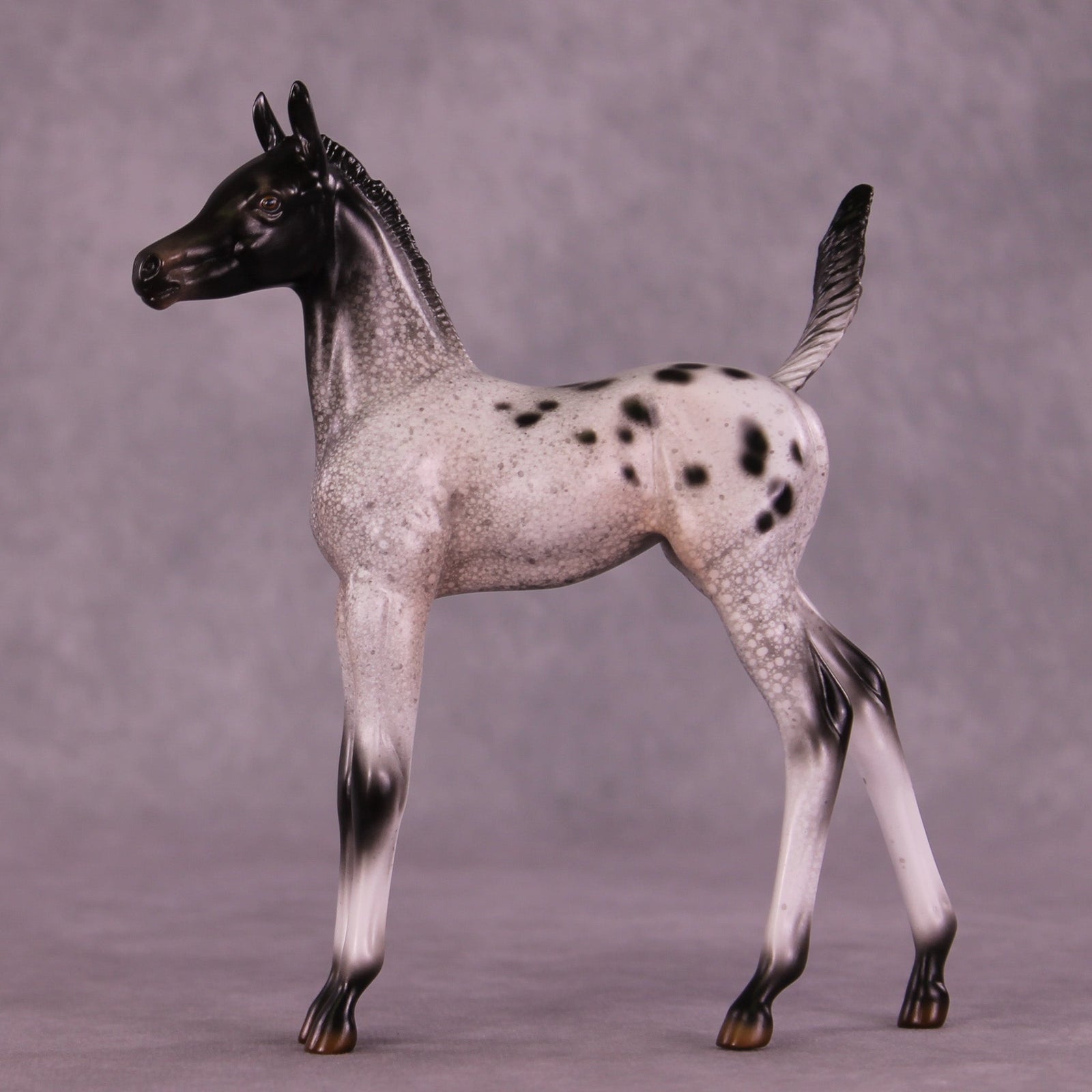 Static on the Stereo OOAK Arabian Foal by Jess Hamill MM25 Group C