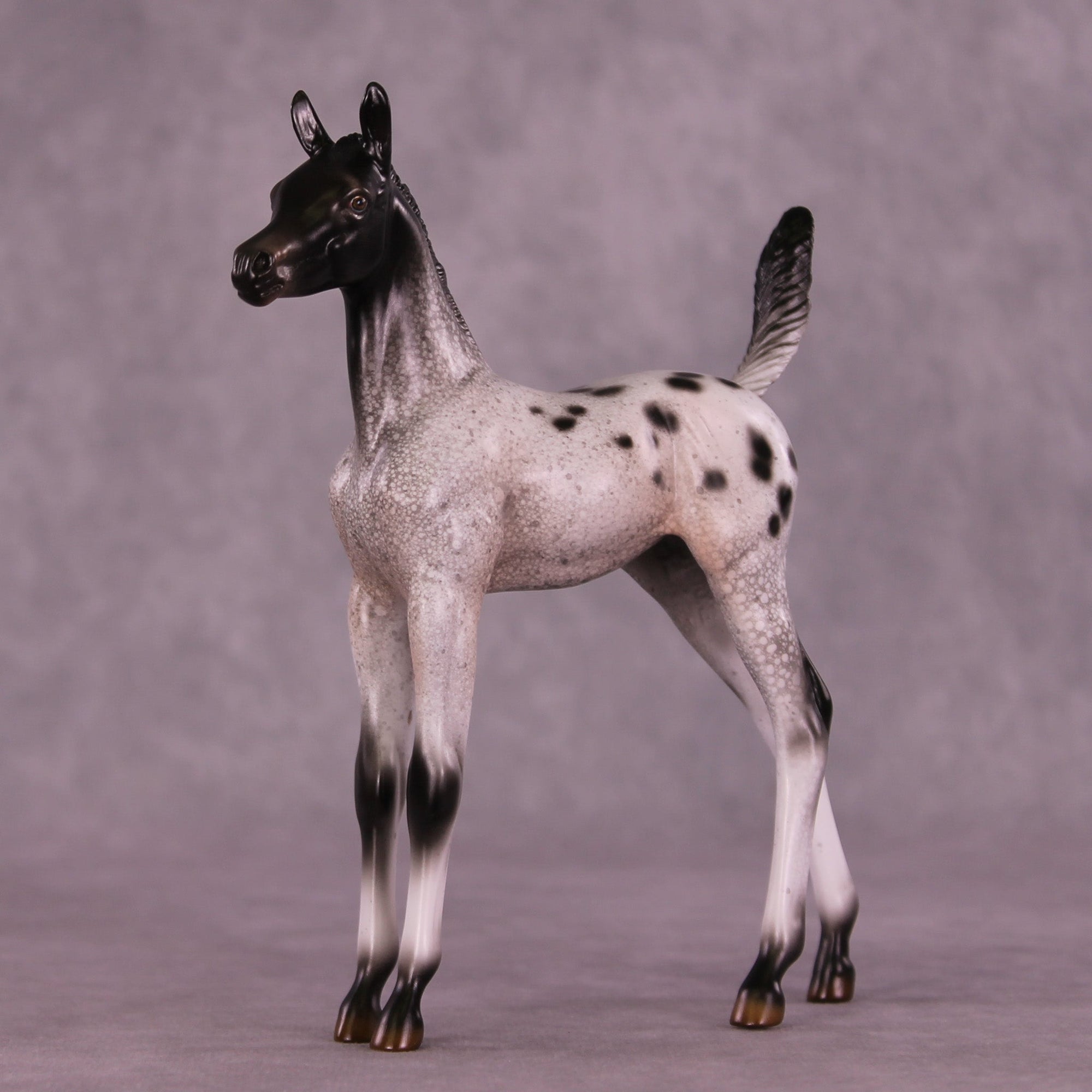 Static on the Stereo OOAK Arabian Foal by Jess Hamill MM25 Group C