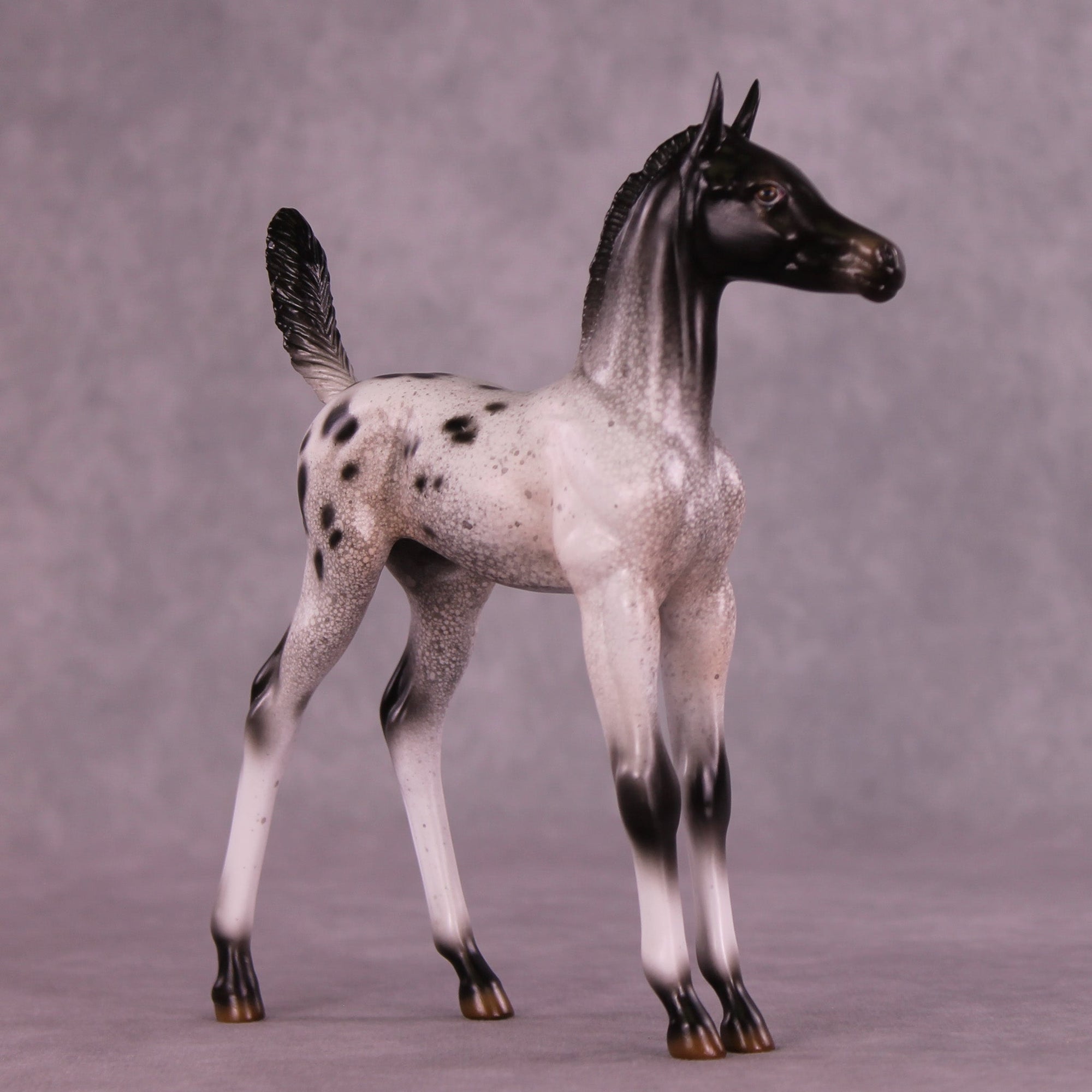 Static on the Stereo OOAK Arabian Foal by Jess Hamill MM25 Group C