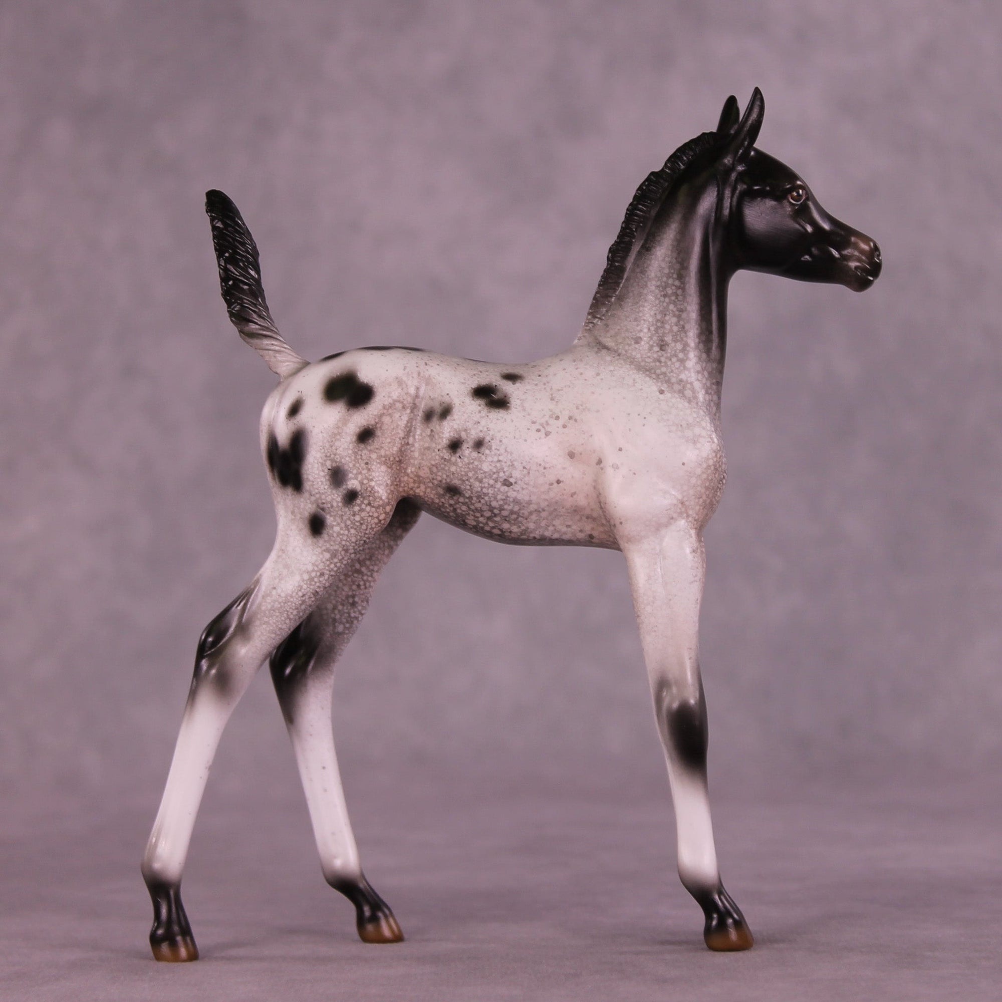Static on the Stereo OOAK Arabian Foal by Jess Hamill MM25 Group C