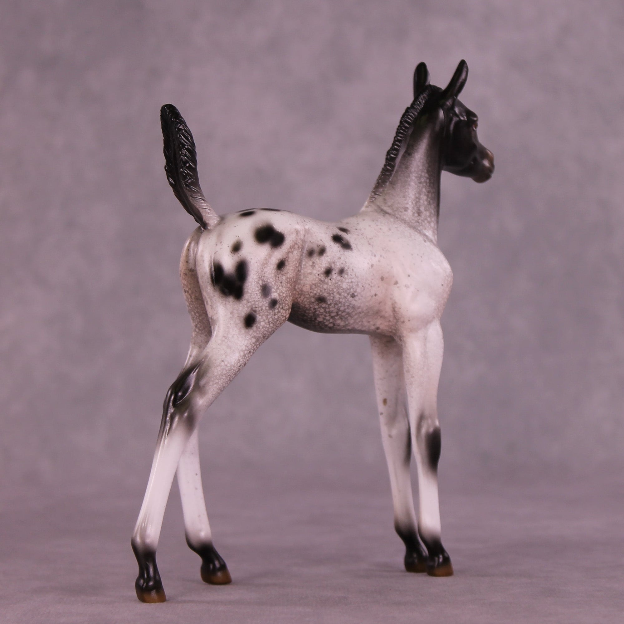Static on the Stereo OOAK Arabian Foal by Jess Hamill MM25 Group C