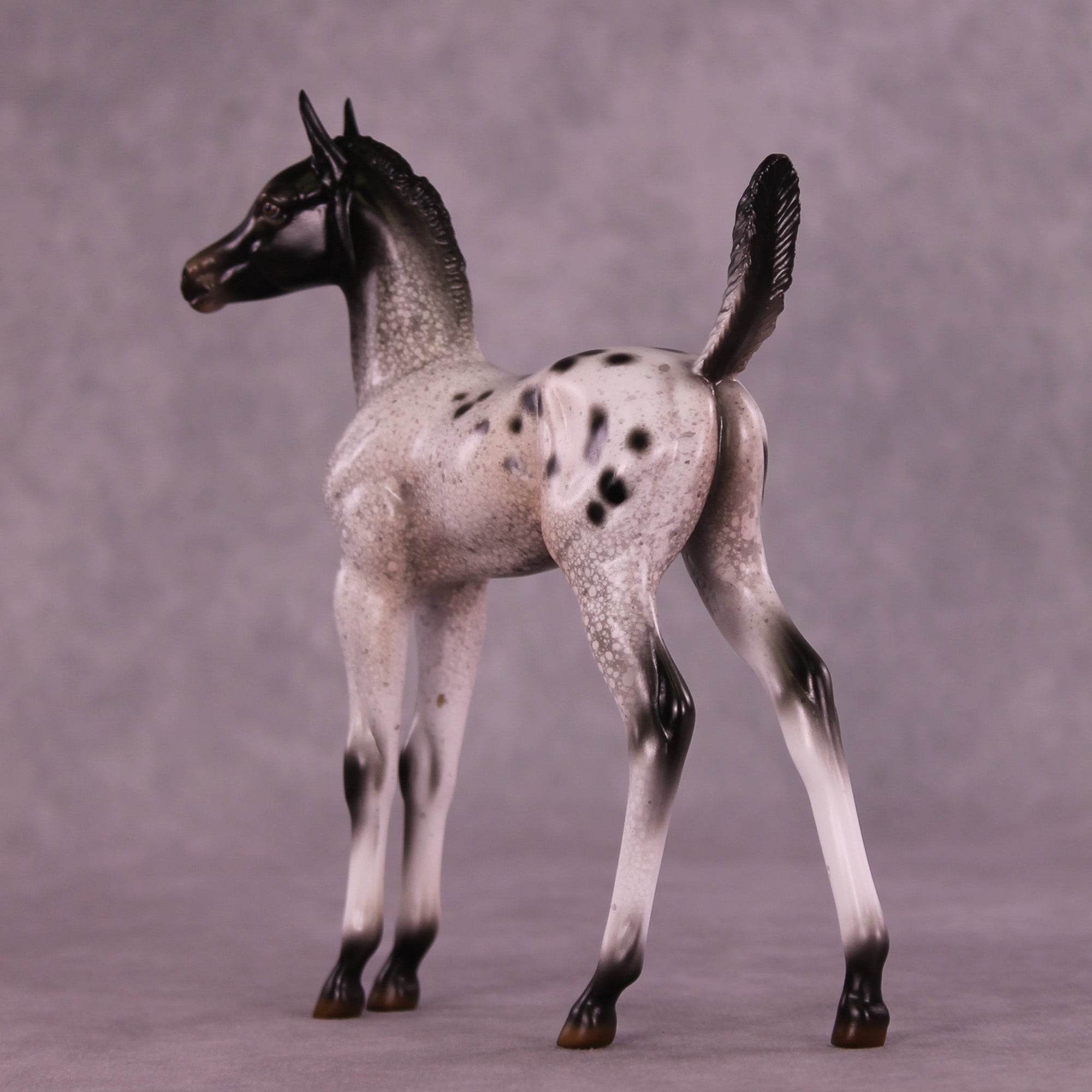 Static on the Stereo OOAK Arabian Foal by Jess Hamill MM25 Group C