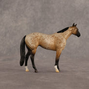 Stede OOAK Chip Stock Horse by Madi Wiseman EQ26