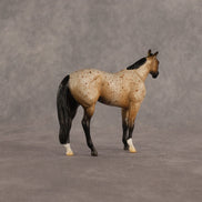 Stede OOAK Chip Stock Horse by Madi Wiseman EQ26