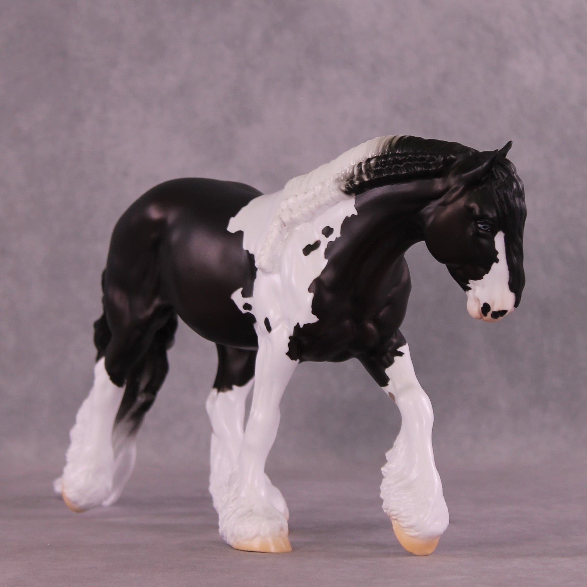 Steinway OOAK Irish Cob by Jess Hamill MM25 Group C