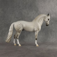 Sterling Realignment Judges' Model LE-17 FCM Andalusian by Jess Hamill SHCF26