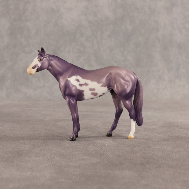 Stewart OOAK Chip Stock Horse by Dawn Quick SHCF26