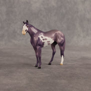 Stewart OOAK Chip Stock Horse by Dawn Quick SHCF26