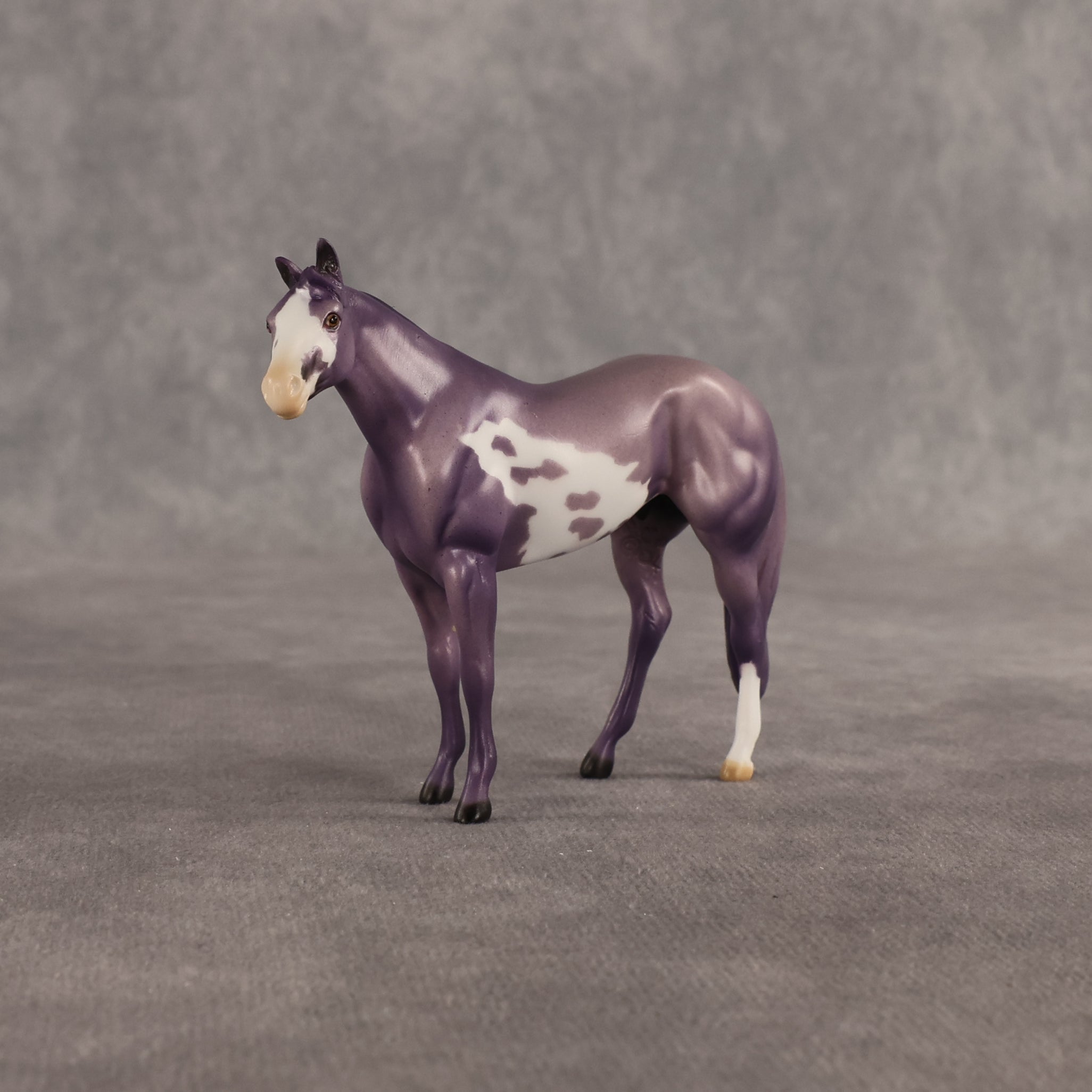 Stewart OOAK Chip Stock Horse by Dawn Quick SHCF26