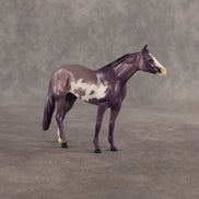 Stewart OOAK Chip Stock Horse by Dawn Quick SHCF26
