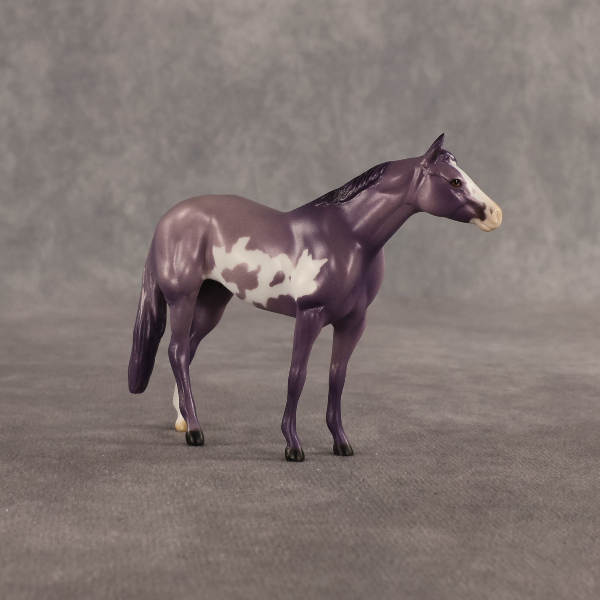 Stewart OOAK Chip Stock Horse by Dawn Quick SHCF26