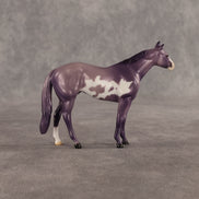 Stewart OOAK Chip Stock Horse by Dawn Quick SHCF26