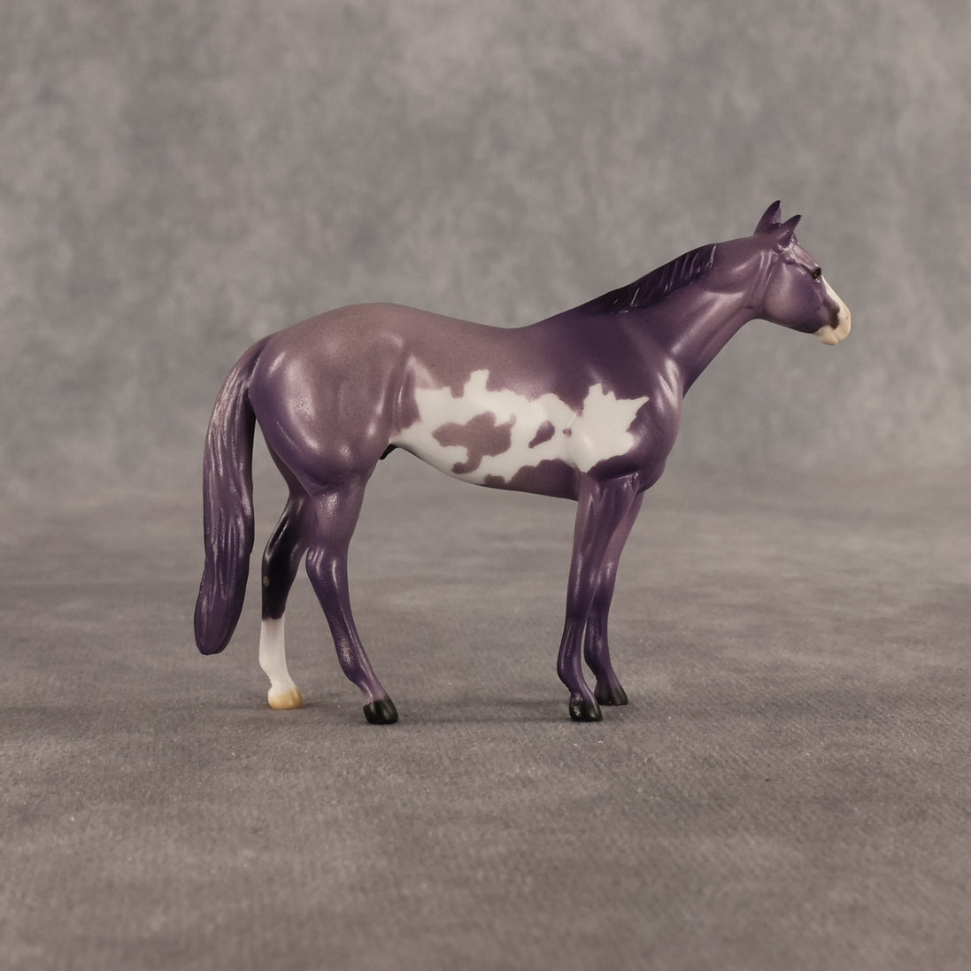 Stewart OOAK Chip Stock Horse by Dawn Quick SHCF26