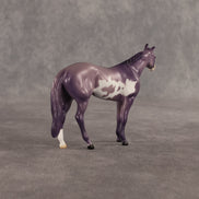 Stewart OOAK Chip Stock Horse by Dawn Quick SHCF26