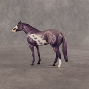 Stewart OOAK Chip Stock Horse by Dawn Quick SHCF26