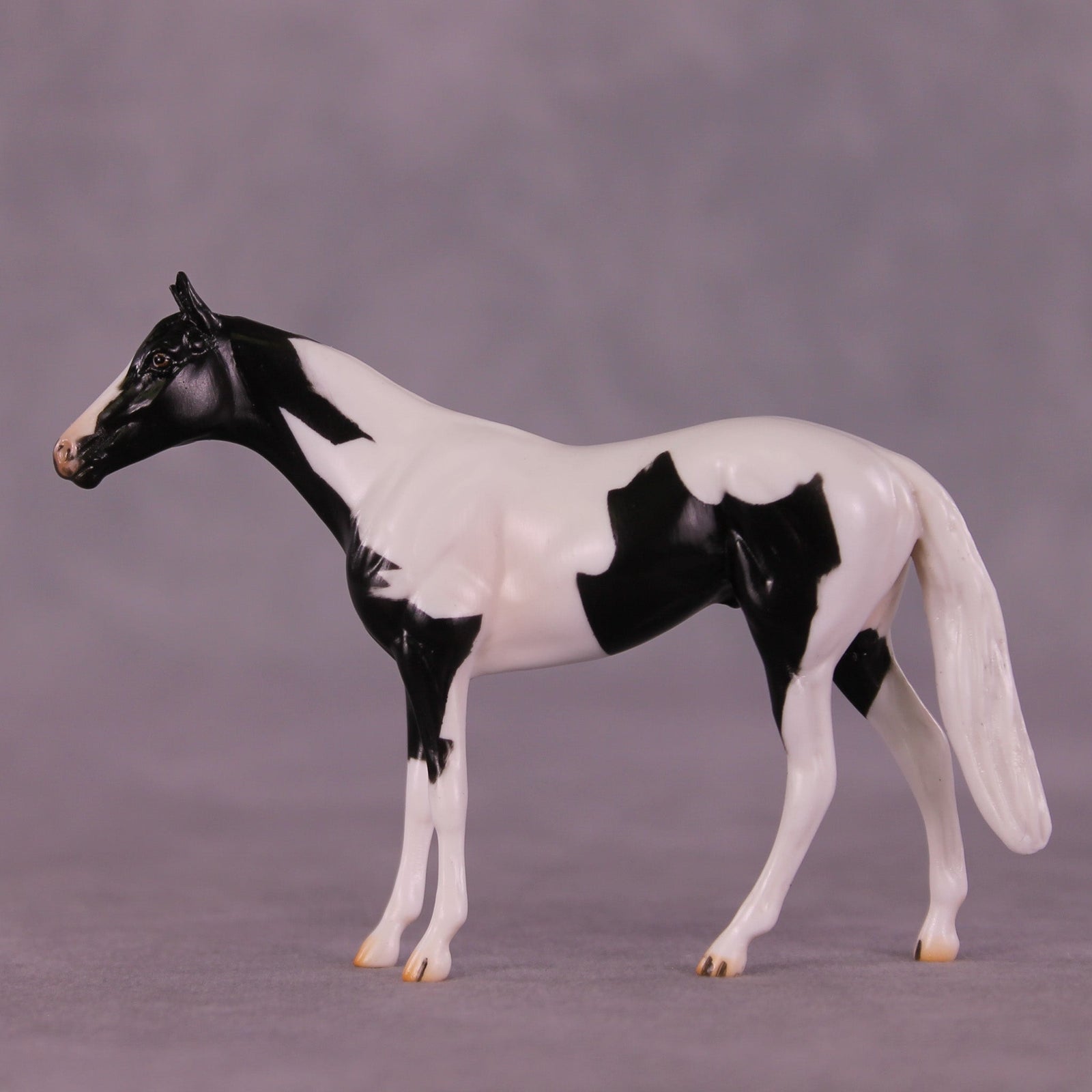 Still Water OOAK Chip Thoroughbred  by Carissa Mathews MM25 Group C