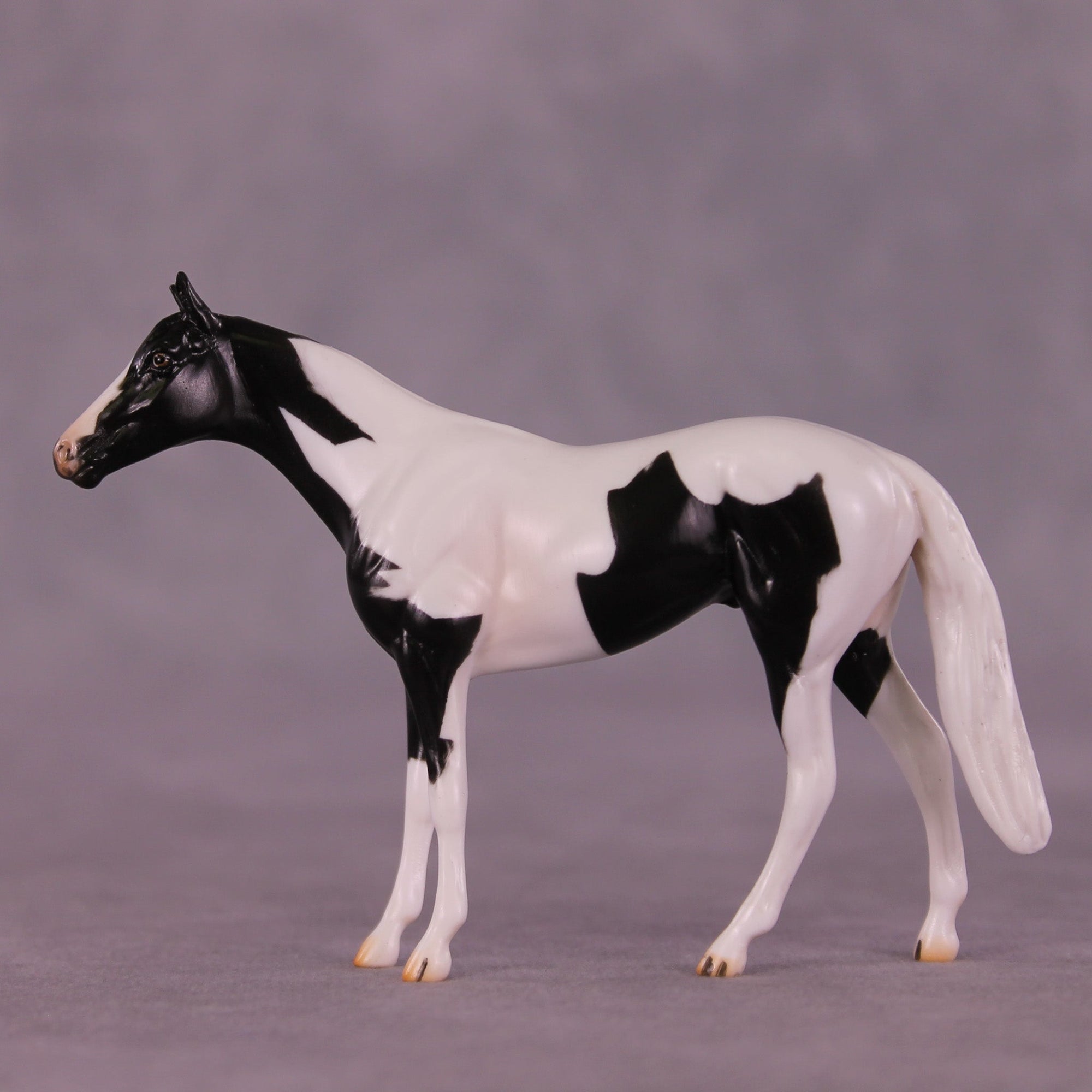 Still Water OOAK Chip Thoroughbred  by Carissa Mathews MM25 Group C